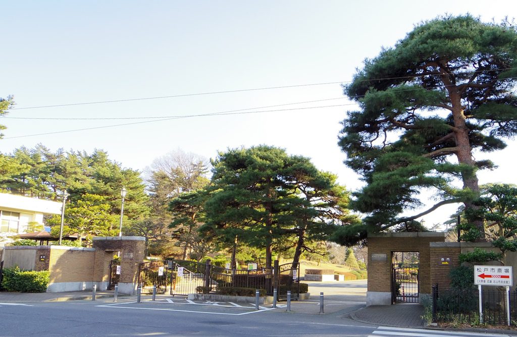 yabashira02