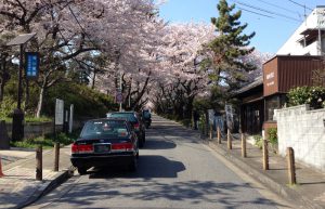 aoyama-apr-southent01