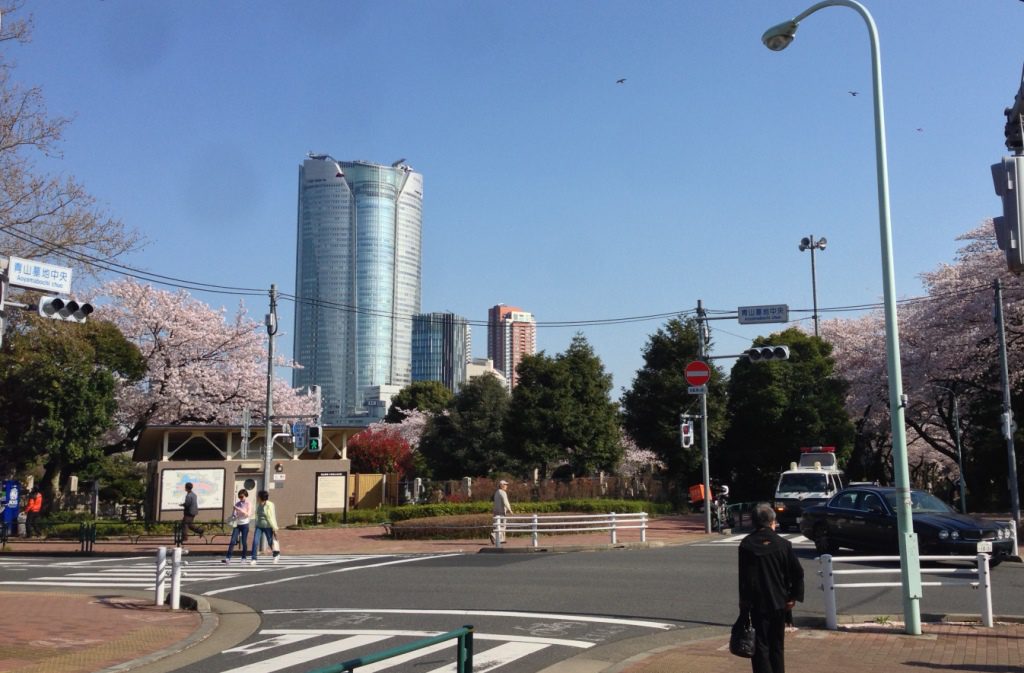 aoyama-crosstohills01