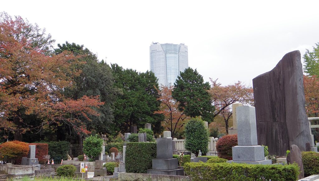 aoyama-nov-img01