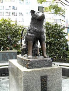 hachikou001
