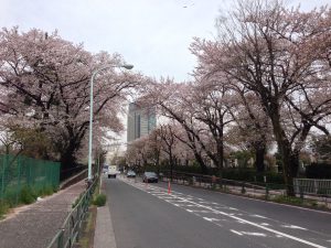 2016-04-08 13.05.20 HDR