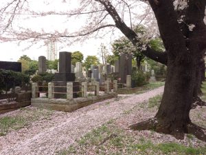 2016-04-08 13.06.47-1
