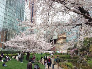 aoyama-sakura-roppongi0401-001