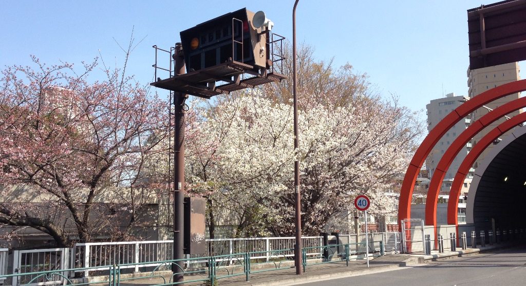 桜咲く乃木坂トンネル